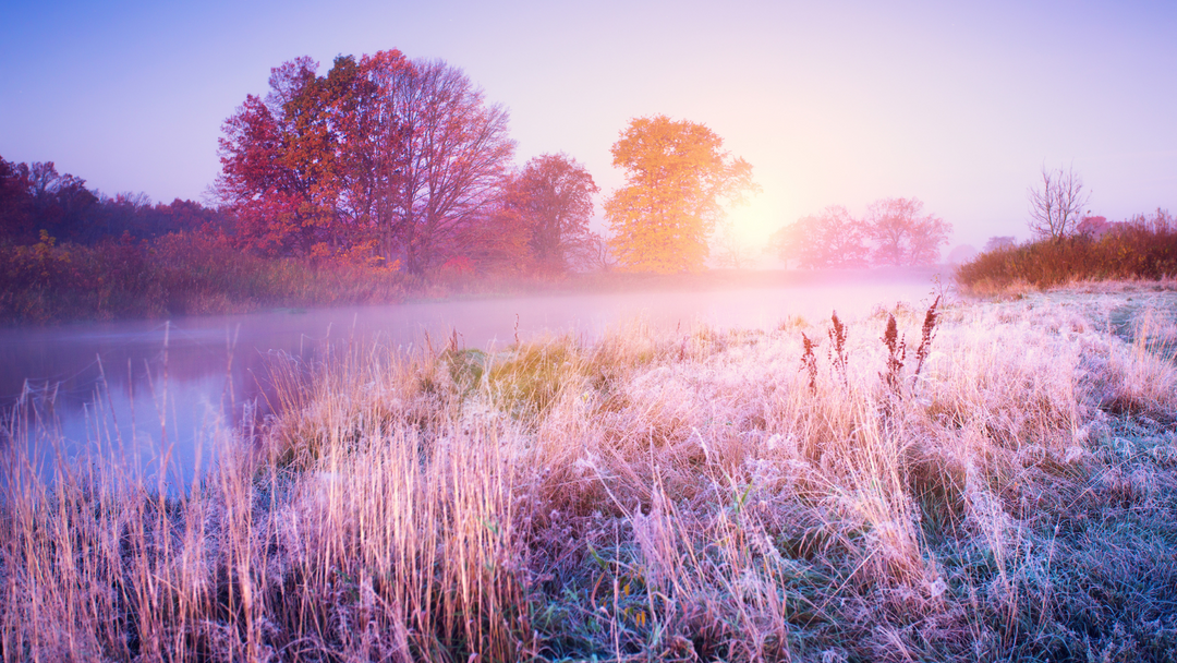 November's Embrace: Deepening Your Yoga Practice Amidst Autumn's Serenity Playlist