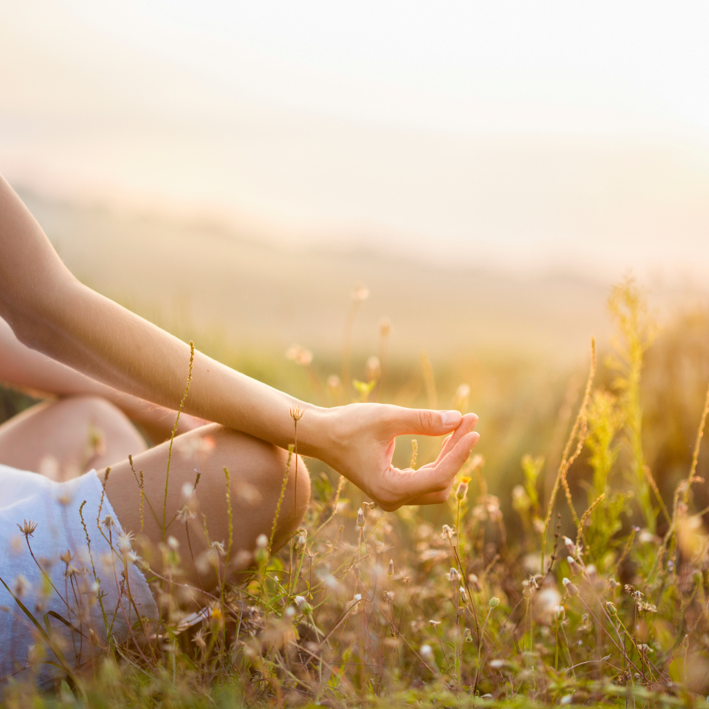 How to Start a Daily Meditation Practice