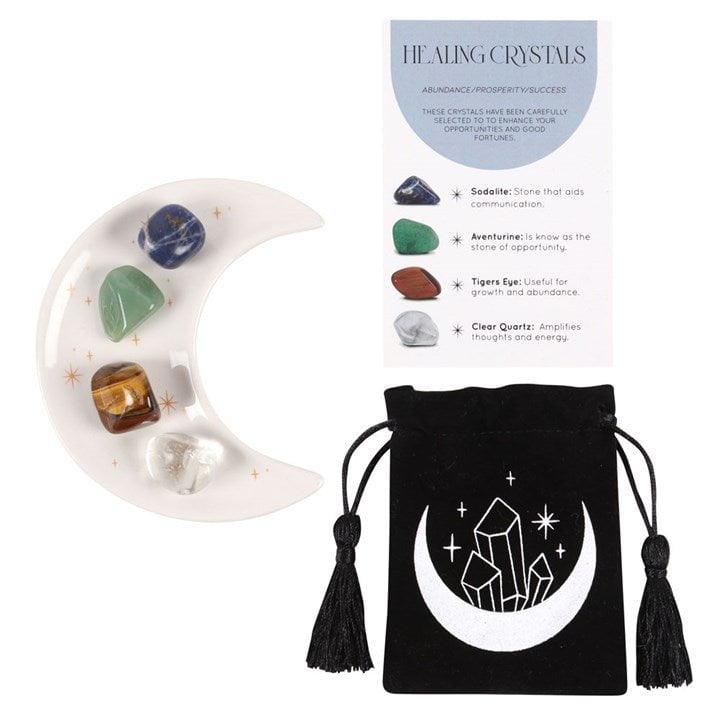 WEDOYOGA Sucess Healing Crystal Set with Moon Trinket Dish